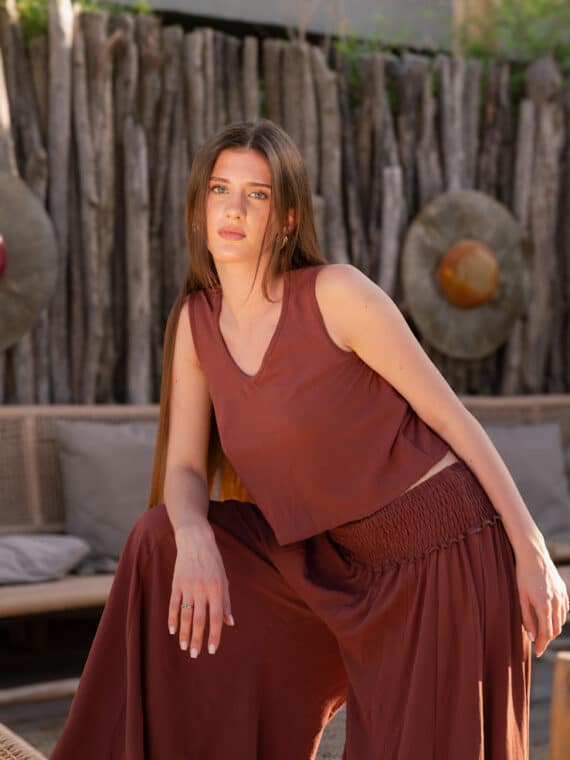 Cinnamon Brown Cropped Top